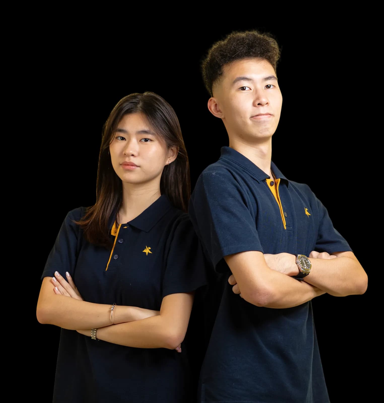 Hero Tutor